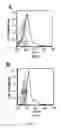 Fig. 10 - CONJUGATES FOR THE ADMINISTRATION OF BIOLOGICALLY ACTIVE COMPOUNDS
