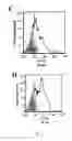 Fig. 11 - CONJUGATES FOR THE ADMINISTRATION OF BIOLOGICALLY ACTIVE COMPOUNDS