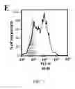 Fig. 12 - CONJUGATES FOR THE ADMINISTRATION OF BIOLOGICALLY ACTIVE COMPOUNDS