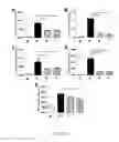 Fig. 15 - CONJUGATES FOR THE ADMINISTRATION OF BIOLOGICALLY ACTIVE COMPOUNDS