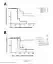 Fig. 19 - CONJUGATES FOR THE ADMINISTRATION OF BIOLOGICALLY ACTIVE COMPOUNDS