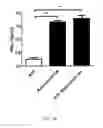 Fig. 21 - CONJUGATES FOR THE ADMINISTRATION OF BIOLOGICALLY ACTIVE COMPOUNDS