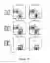 Fig. 11 - Methods and compositions for rejuvenating skeletal muscle stem cells