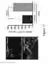 Fig. 16 - Methods and compositions for rejuvenating skeletal muscle stem cells
