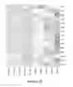 Fig. 24 - Methods and compositions for rejuvenating skeletal muscle stem cells
