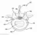 Fig. 01 - METHODS OF TREATING SPINAL DISORDERS USING AUTOLOGOUS PROTEIN SOLUTIONS