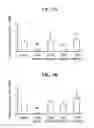 Fig. 06 - Nucleotide phosphate dissipation as a treatment for vascular disorders