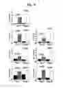 Fig. 15 - Nucleotide phosphate dissipation as a treatment for vascular disorders
