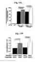 Fig. 17 - Nucleotide phosphate dissipation as a treatment for vascular disorders