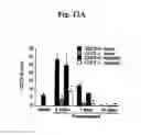 Fig. 18 - Nucleotide phosphate dissipation as a treatment for vascular disorders