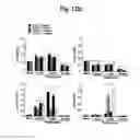 Fig. 19 - Nucleotide phosphate dissipation as a treatment for vascular disorders