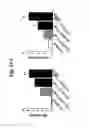 Fig. 22 - Nucleotide phosphate dissipation as a treatment for vascular disorders