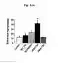 Fig. 24 - Nucleotide phosphate dissipation as a treatment for vascular disorders
