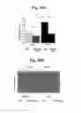 Fig. 33 - Nucleotide phosphate dissipation as a treatment for vascular disorders
