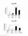 Fig. 35 - Nucleotide phosphate dissipation as a treatment for vascular disorders