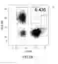 Fig. 04 - Formulation and method for preparing specific T cell, and method for preparing the formulation