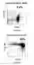 Fig. 06 - Formulation and method for preparing specific T cell, and method for preparing the formulation