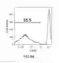 Fig. 12 - Formulation and method for preparing specific T cell, and method for preparing the formulation