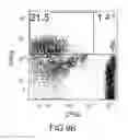 Fig. 13 - Formulation and method for preparing specific T cell, and method for preparing the formulation