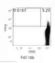 Fig. 15 - Formulation and method for preparing specific T cell, and method for preparing the formulation