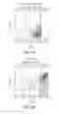 Fig. 16 - Formulation and method for preparing specific T cell, and method for preparing the formulation
