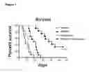 Fig. 02 - CANCER THERAPY