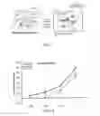 Fig. 03 - Inactivated bacterial cell formulation