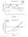Fig. 05 - Inactivated bacterial cell formulation