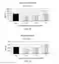 Fig. 09 - Inactivated bacterial cell formulation