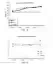 Fig. 10 - Inactivated bacterial cell formulation