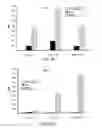 Fig. 16 - Inactivated bacterial cell formulation