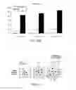 Fig. 18 - Inactivated bacterial cell formulation
