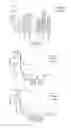 Fig. 07 - Clostridium difficile vaccine and methods of use