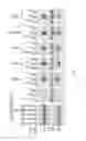 Fig. 07 - STAPHYLOCOCCUS LIVE CELL VACCINES