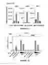 Fig. 04 - Method for preparing viral particles with cyclic dinucleotide and use of said particles for inducing immune response