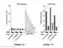 Fig. 07 - Method for preparing viral particles with cyclic dinucleotide and use of said particles for inducing immune response
