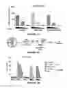 Fig. 12 - Method for preparing viral particles with cyclic dinucleotide and use of said particles for inducing immune response