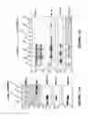 Fig. 30 - Method for preparing viral particles with cyclic dinucleotide and use of said particles for inducing immune response