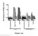 Fig. 32 - Method for preparing viral particles with cyclic dinucleotide and use of said particles for inducing immune response
