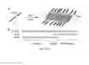 Fig. 02 - Methods and compositions related to immunogenic fibrils