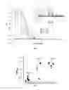 Fig. 07 - Methods and compositions related to immunogenic fibrils