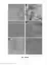 Fig. 09 - Methods and compositions related to immunogenic fibrils