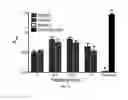 Fig. 11 - Methods and compositions related to immunogenic fibrils
