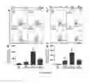 Fig. 14 - Methods and compositions related to immunogenic fibrils
