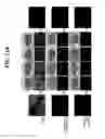 Fig. 26 - Recombinant self-assembling protein comprising target-oriented peptide and use thereof