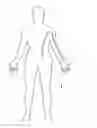 Fig. 01 - Proton induced boron capture therapy