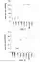 Fig. 02 - NOVEL SINGLE CHEMICAL ENTITIES AND METHODS FOR DELIVERY OF OLIGONUCLEOTIDES