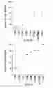 Fig. 03 - NOVEL SINGLE CHEMICAL ENTITIES AND METHODS FOR DELIVERY OF OLIGONUCLEOTIDES