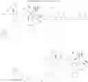 Fig. 37 - SSTR-TARGETED CONJUGATES ENCAPSULATED IN PARTICLES AND FORMULATIONS THEREOF
