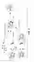 Fig. 06 - Anti-wall teichoic antibodies and conjugates